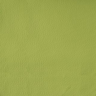 Tela cannes-c-410-pistacho