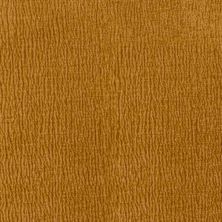 Tela city_c-ocre