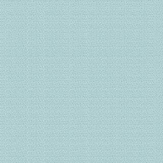 Tela elemento_canoe_c-2661