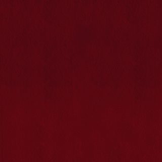 Tela fullcolor _ baroja 22