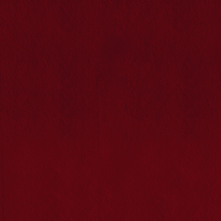 Tela fullcolor _ baroja 22