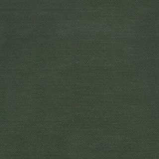 Tela alenar-turtle-c-355