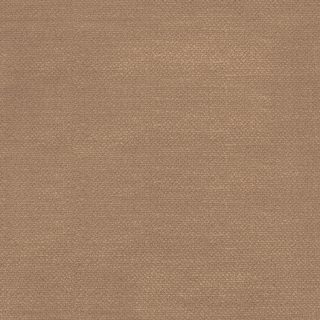 Tela alenar_mushroom-c-170