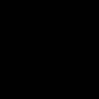 Tela moth-4