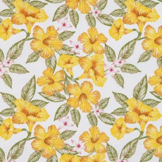 Tela summer_23939 c-02