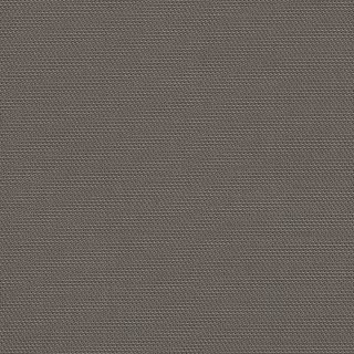 Tela sunbrella_sling 50045 02-137 c-taupe