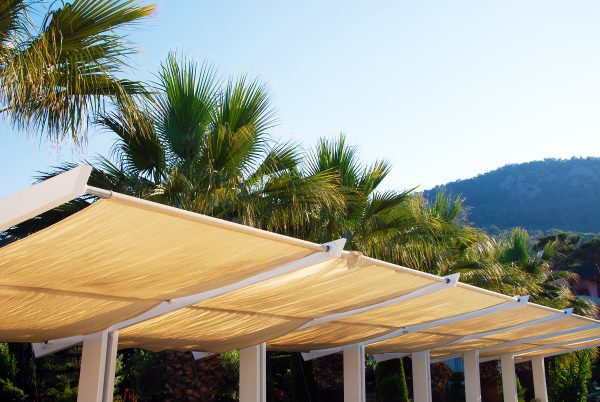 Toldo - Image 4