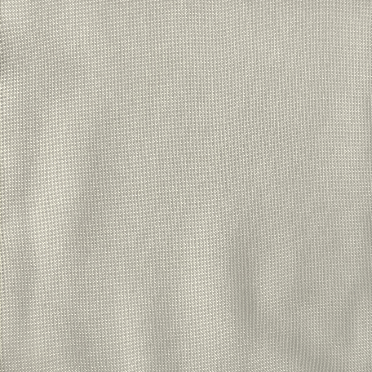 Tela Brandon - Image 4