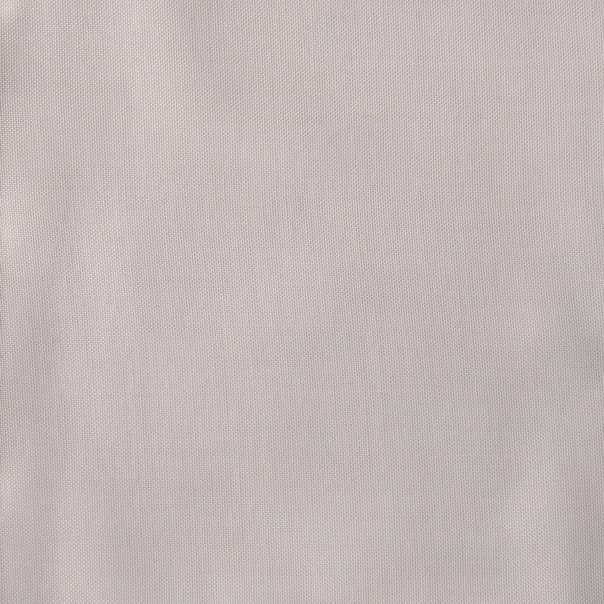 Tela Brandon - Image 2