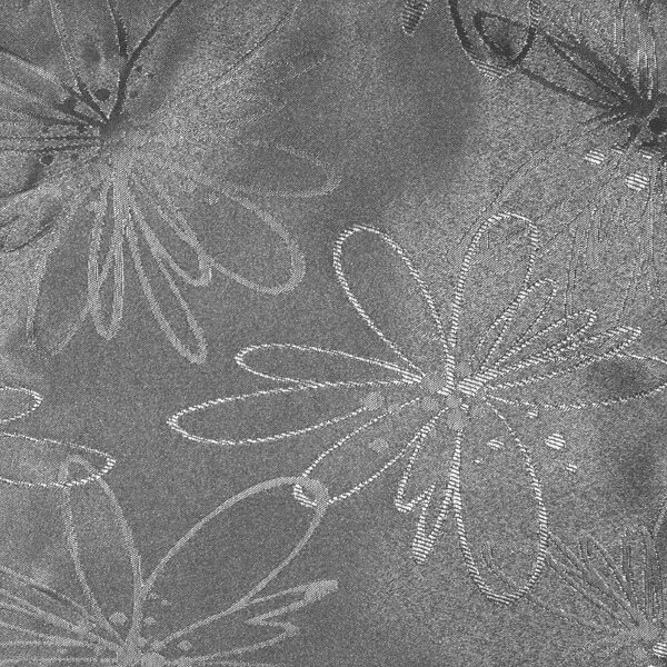 Tela Tejeiro - Image 10