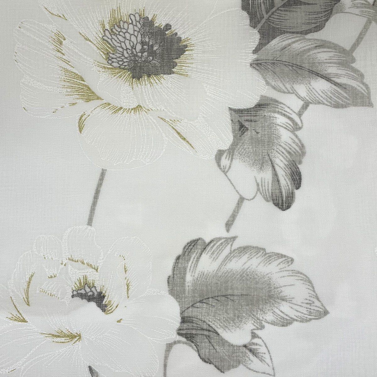 Tela Praga - Image 7