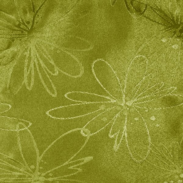 Tela Tejeiro - Image 2