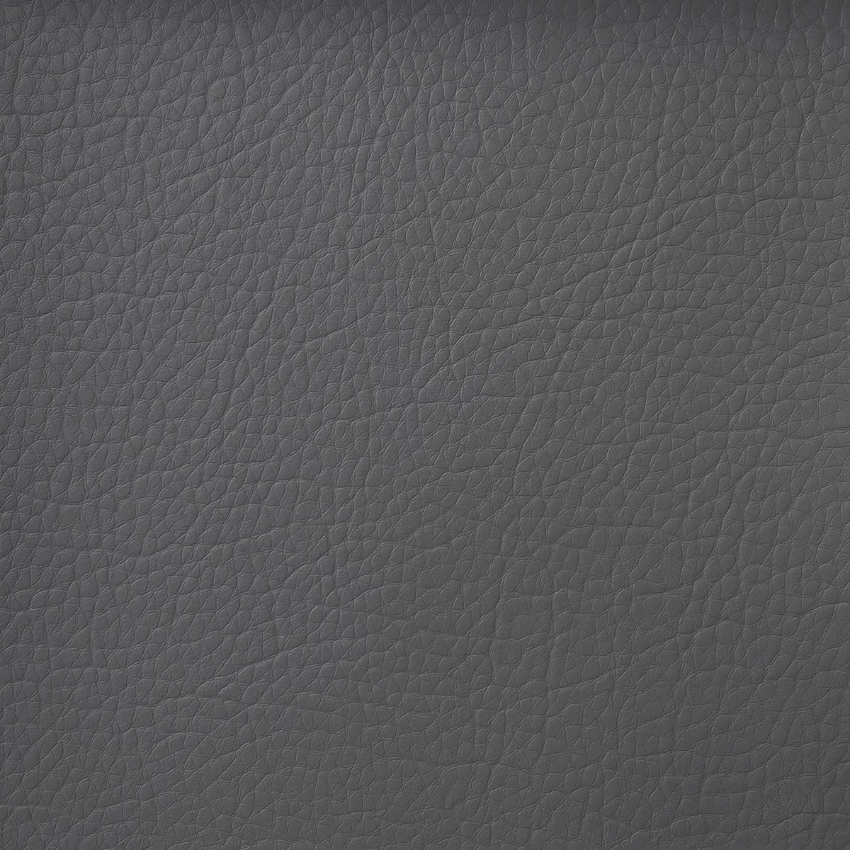 Tela Bricol - Image 4