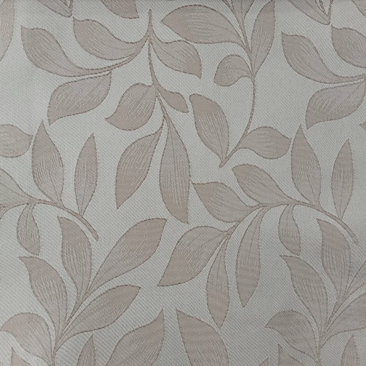 Tela Catedral - Image 13