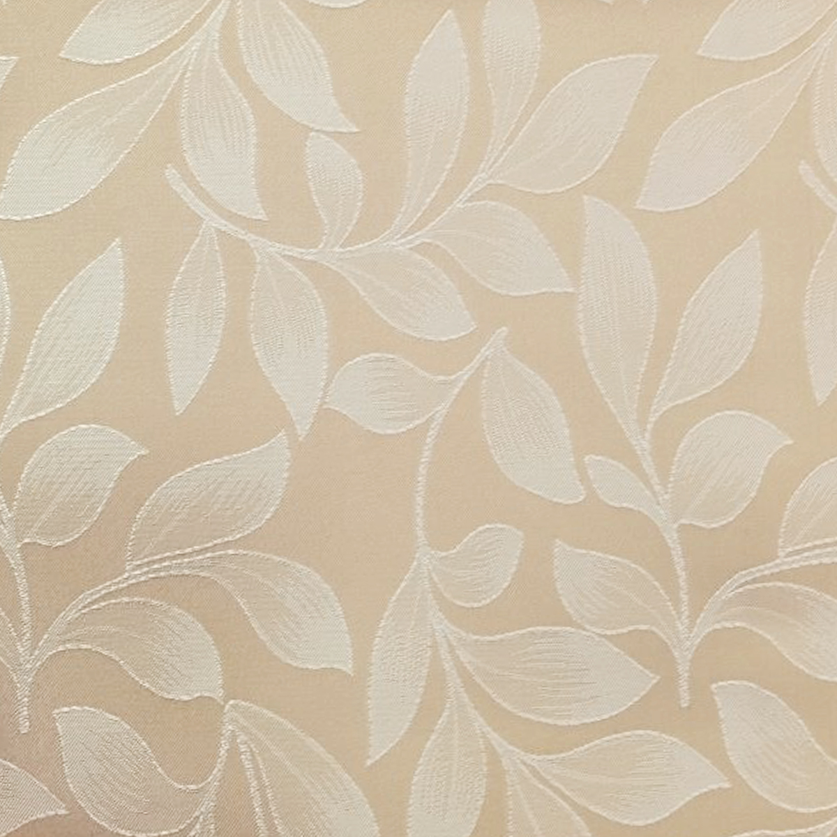 Tela Catedral - Image 10