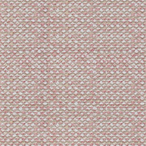 Tela Boutique - Image 40