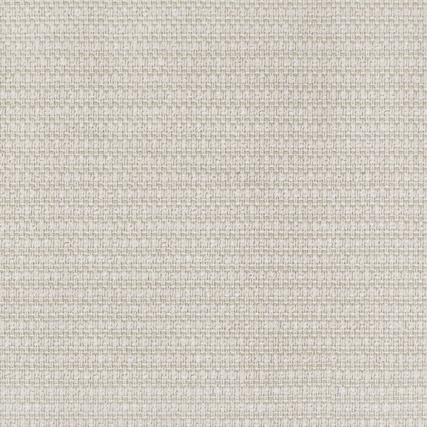 Tela Boutique - Image 12