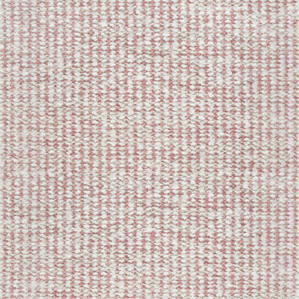 Tela Boutique - Image 8