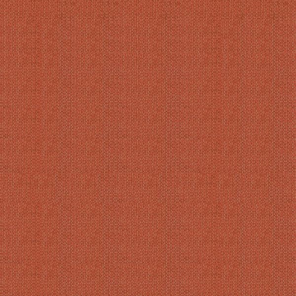 Tela Gael - Image 2