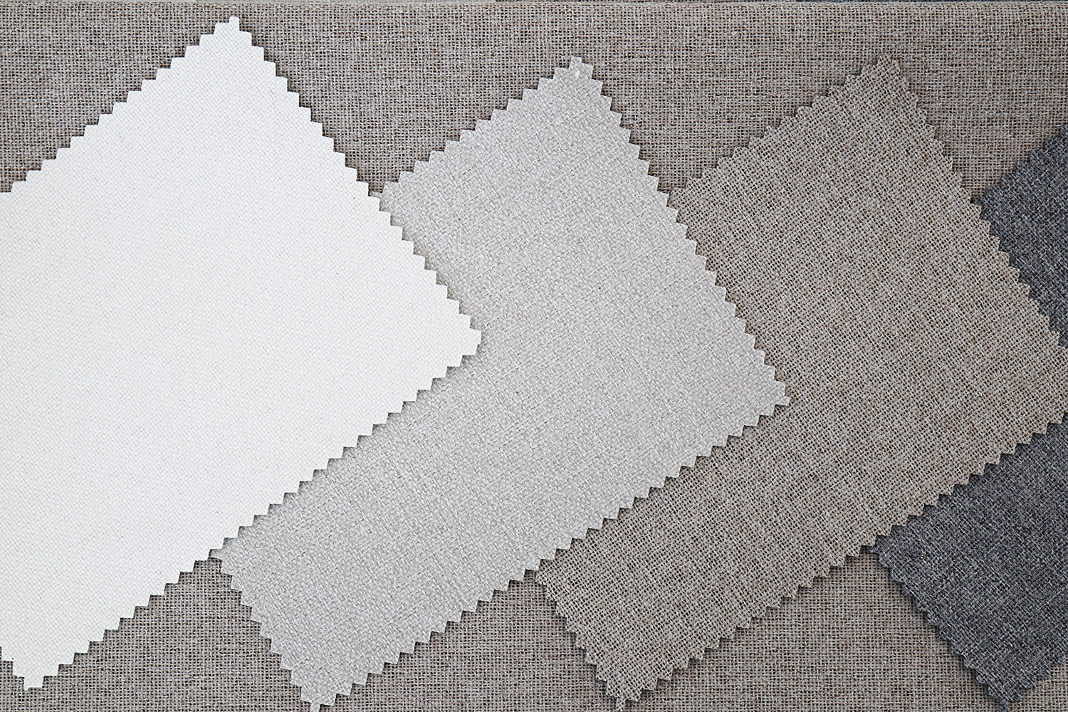 Tela Neruda FR - Image 2