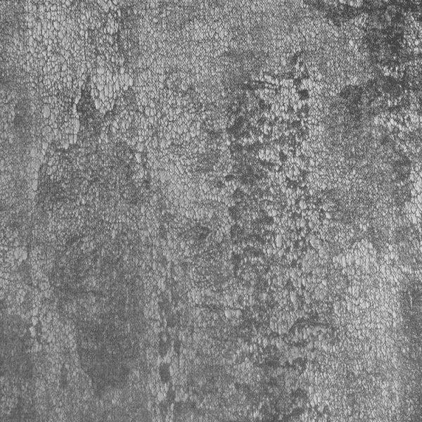 Tela Gandhi - Image 7