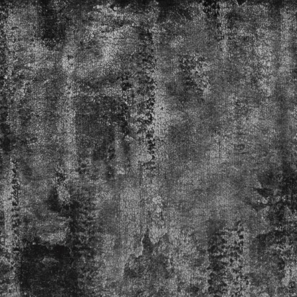 Tela Gandhi - Image 6