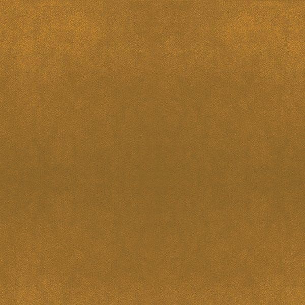 Tela Texas - Image 2