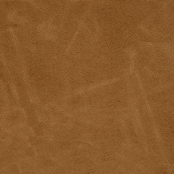 Tela Wisconsin - Image 4