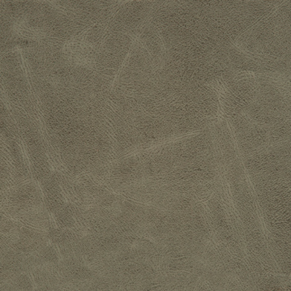 Tela Wisconsin - Image 2