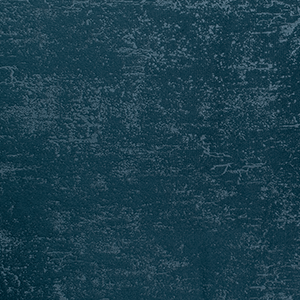 Tela Glacial - Image 8